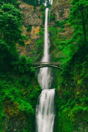 Tall waterfall and bridge in green forest